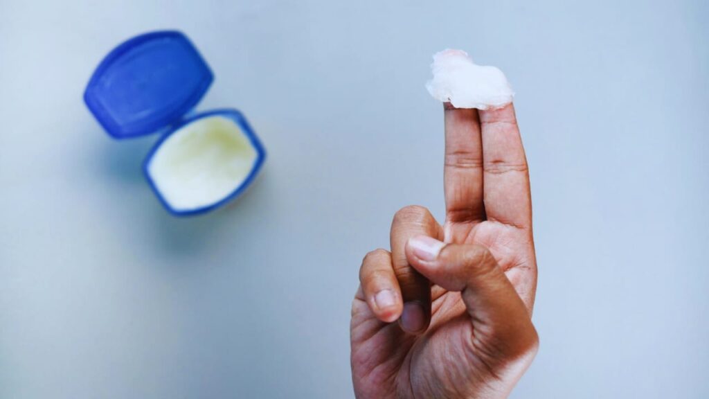 Is Vaseline Safe for Cats